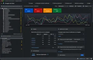 Interface Google Ads Editor anonymisée avec les graphiques de performance des campagnes